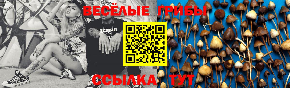 Псилоцибиновые грибы GOLDEN TEACHER  Вход с VPN  Армавир  Псилоцибиновые грибы Magic Shrooms 